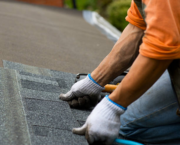 Roof Gutter Cleaning in Newell, WV