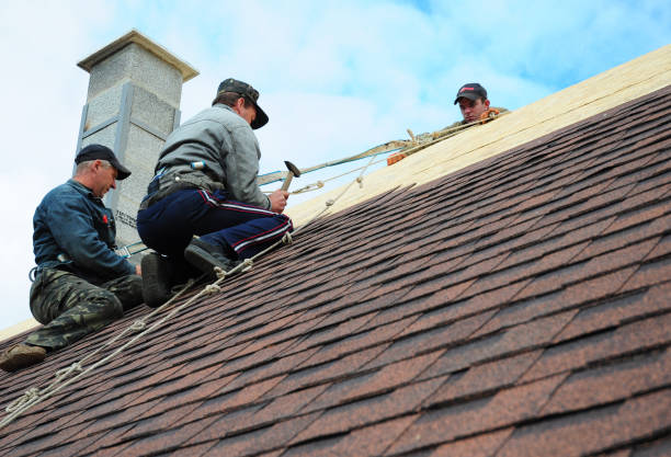Best Roof Gutter Cleaning  in Newell, WV